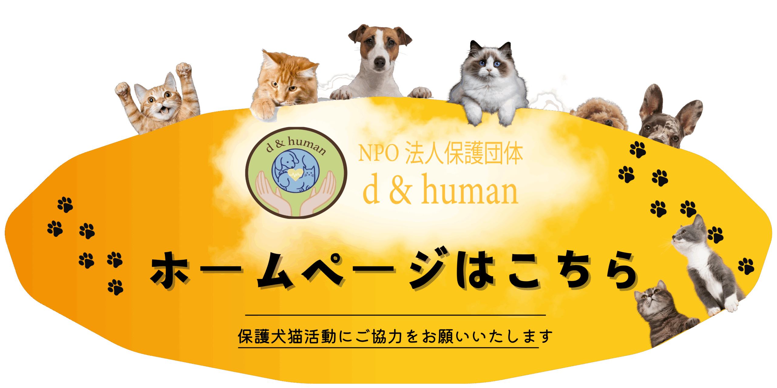 丸ボタン